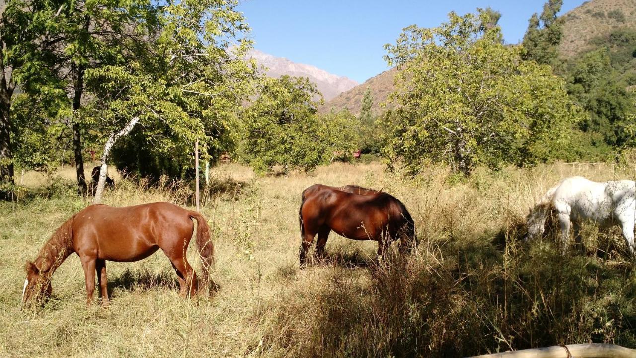 Cascada Lodge Cajon Del Maipo San José de Maipo Eksteriør billede